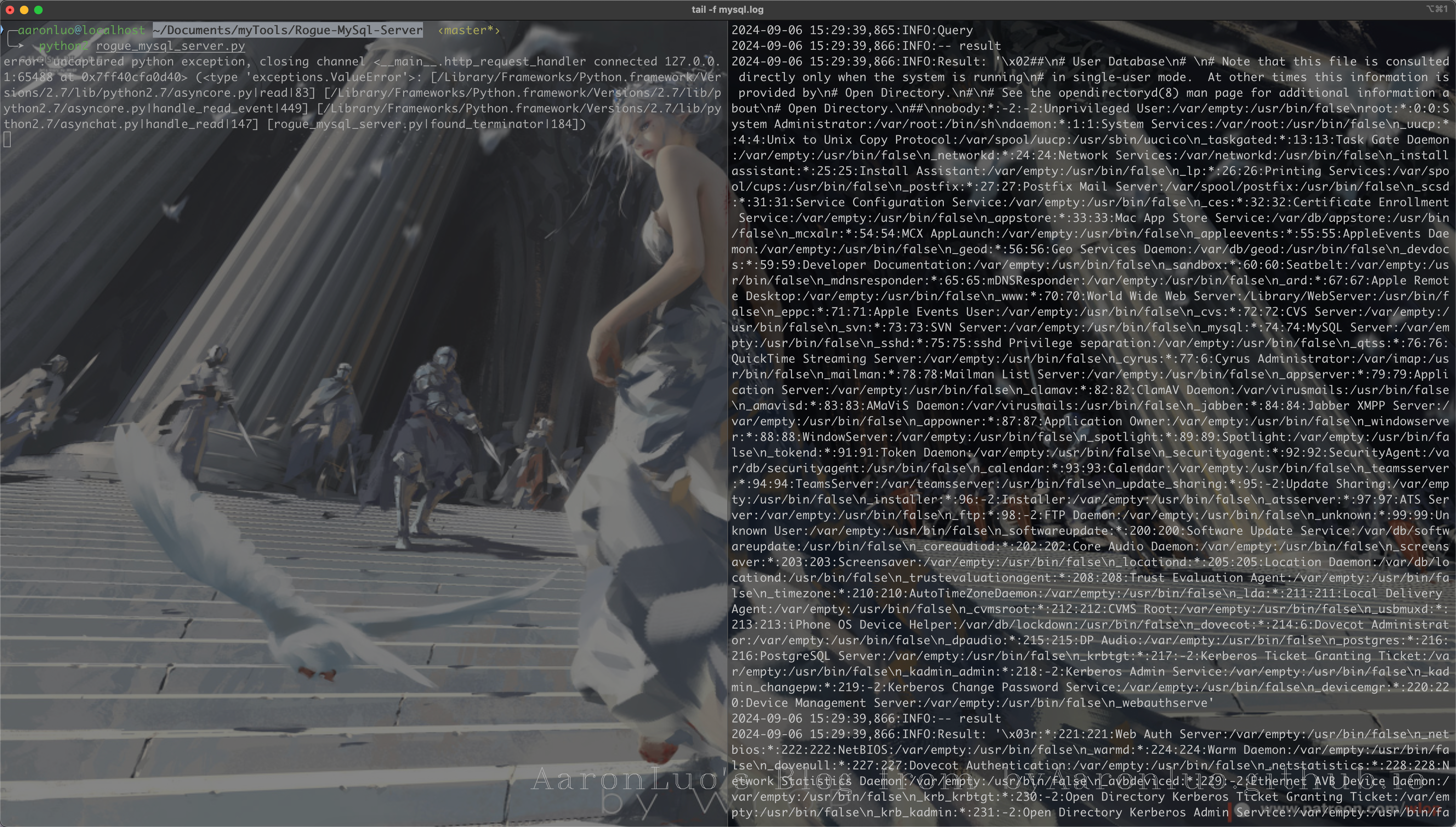 image-20240906153001442