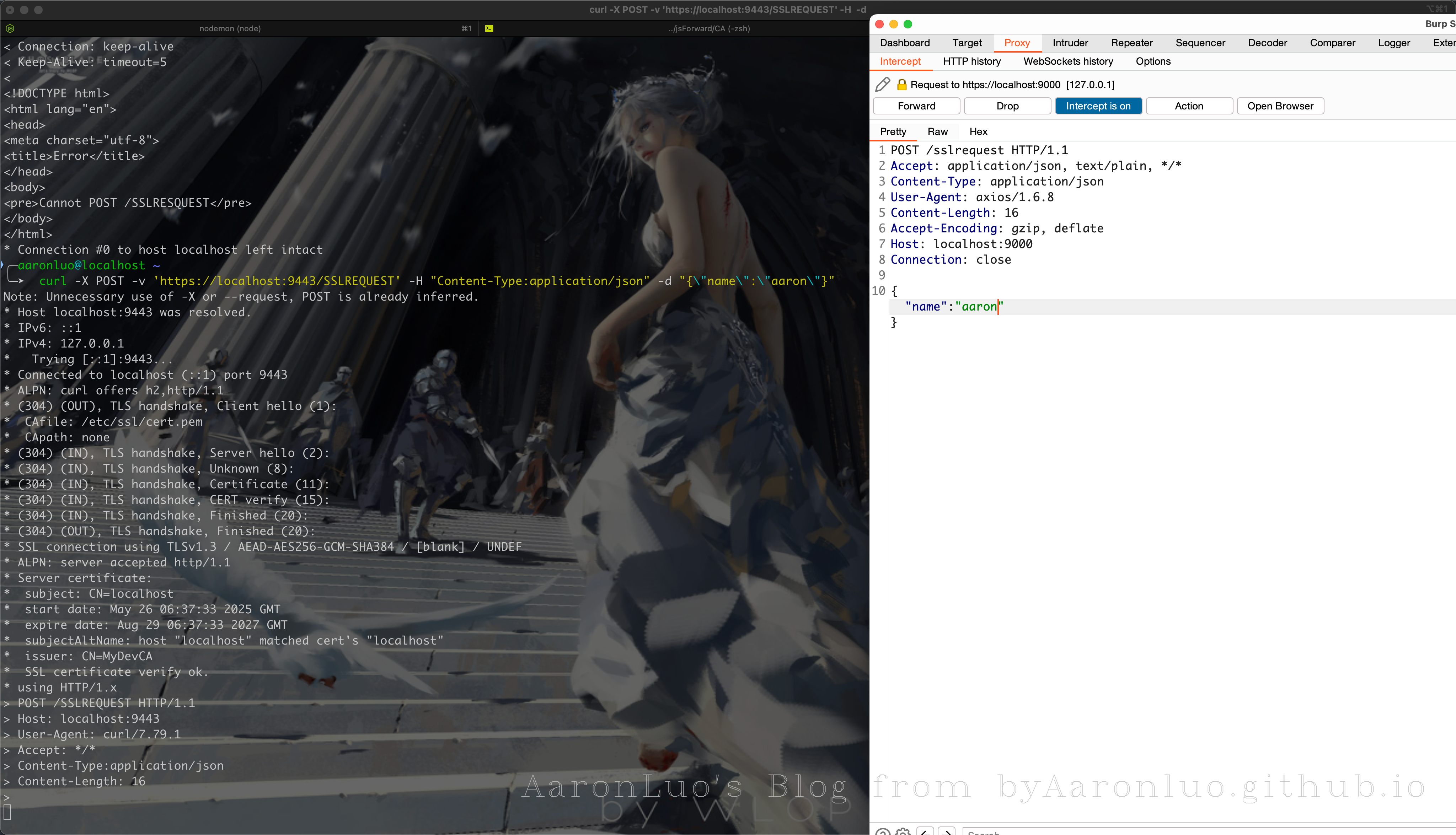 image-20250528104750148