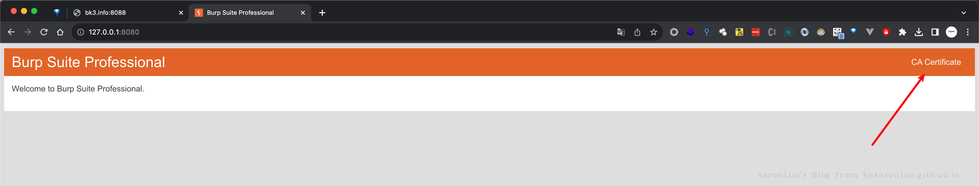 image-20231210171914071