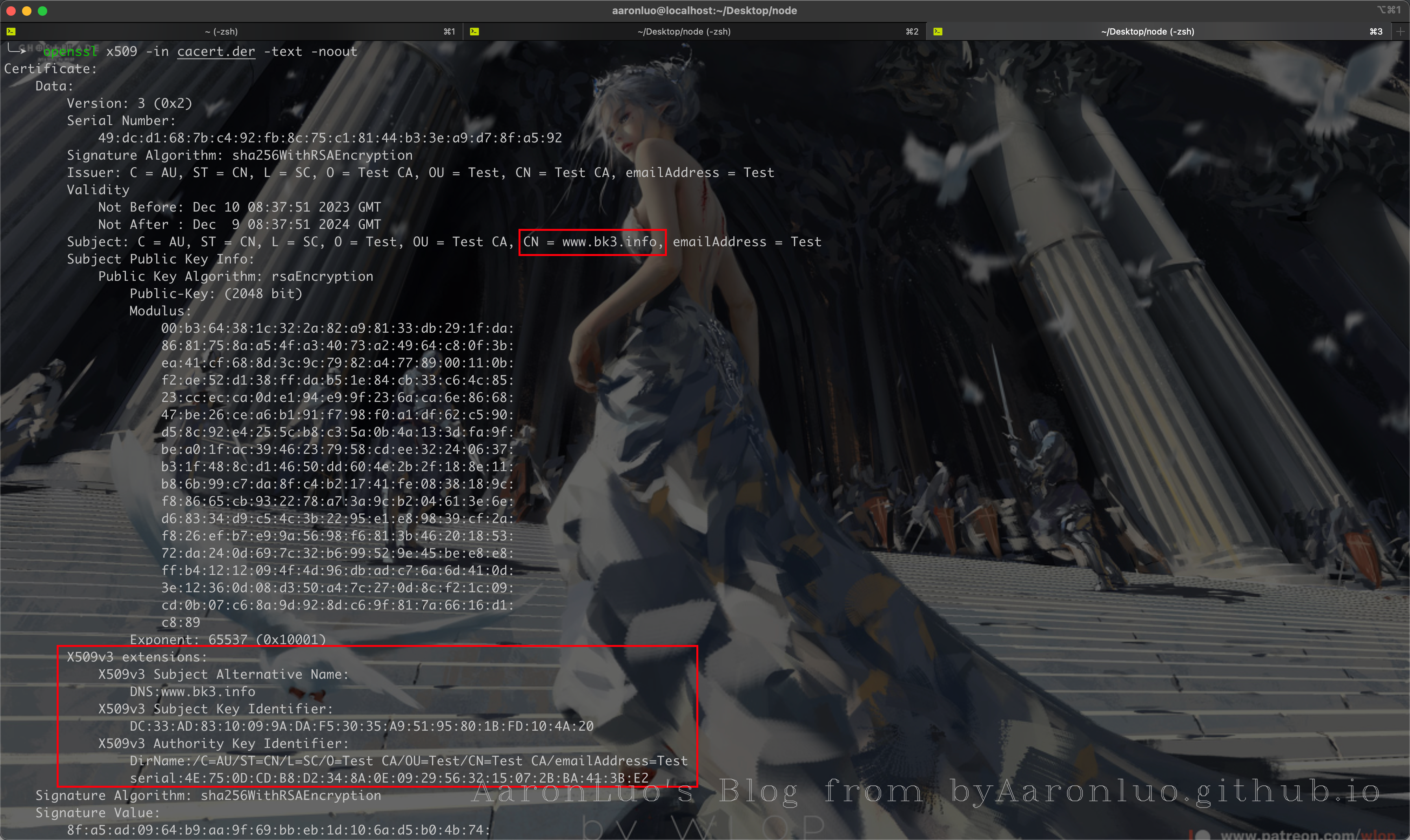 image-20231210172615671