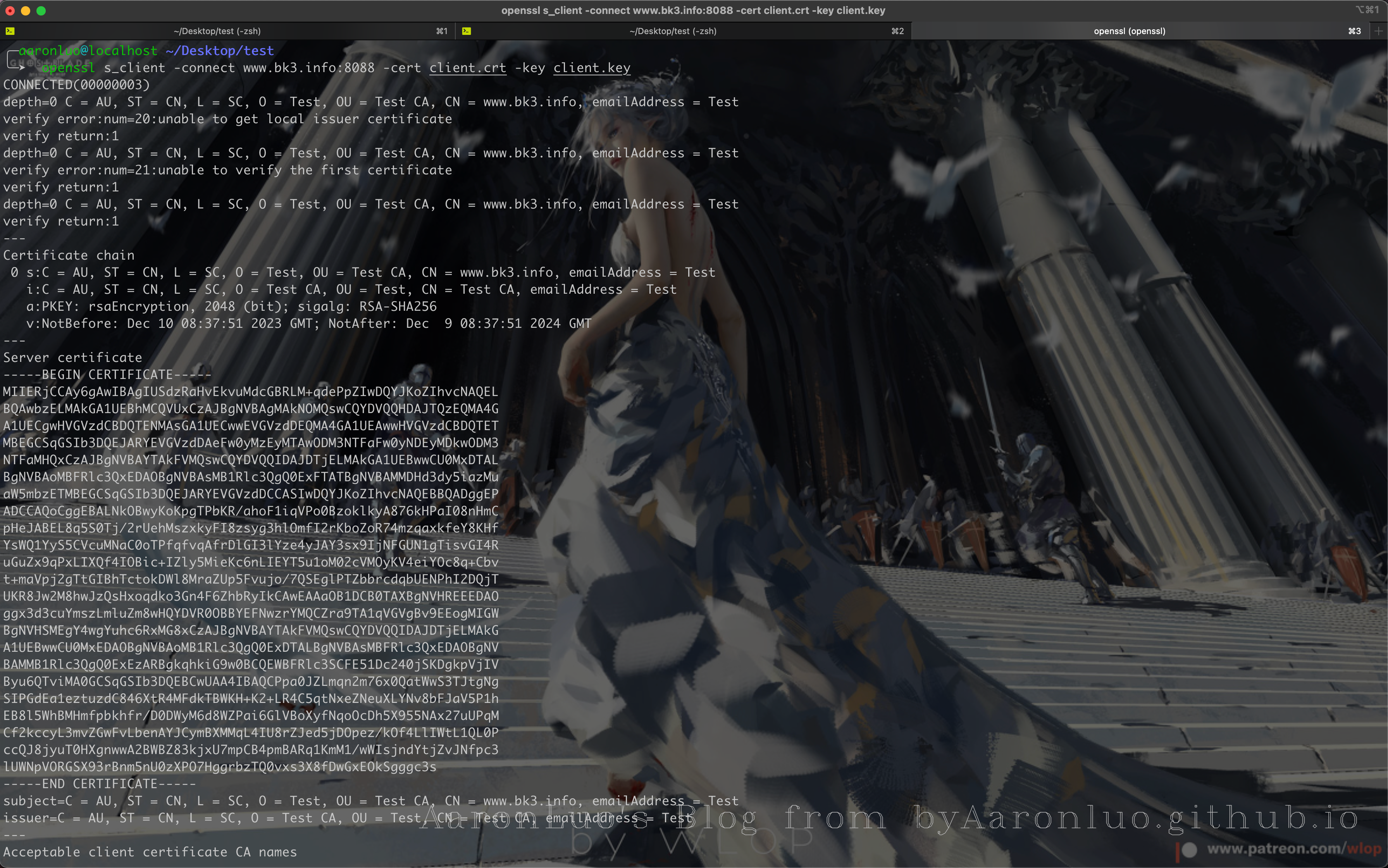 image-20231211164403066