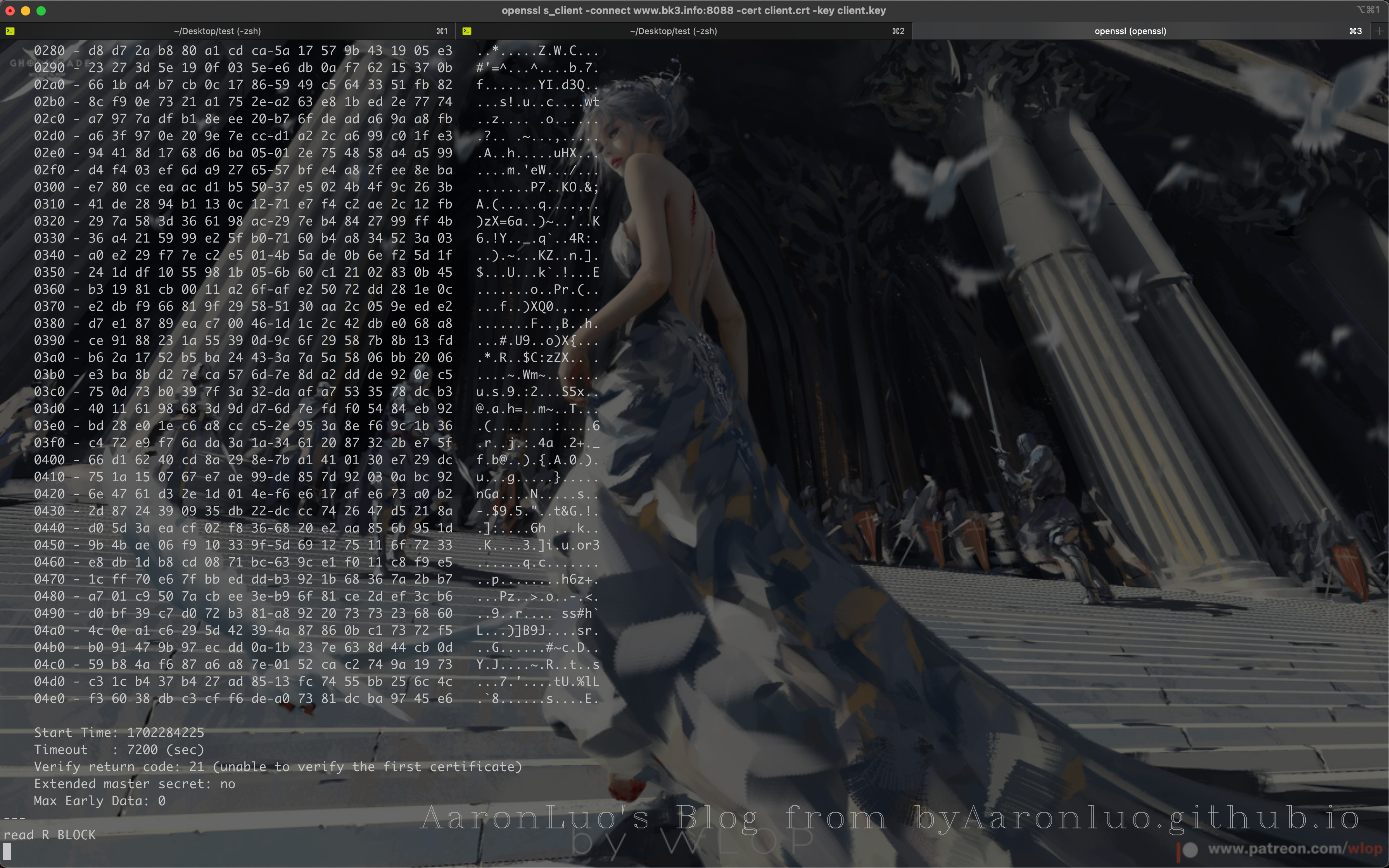 image-20231211164422207