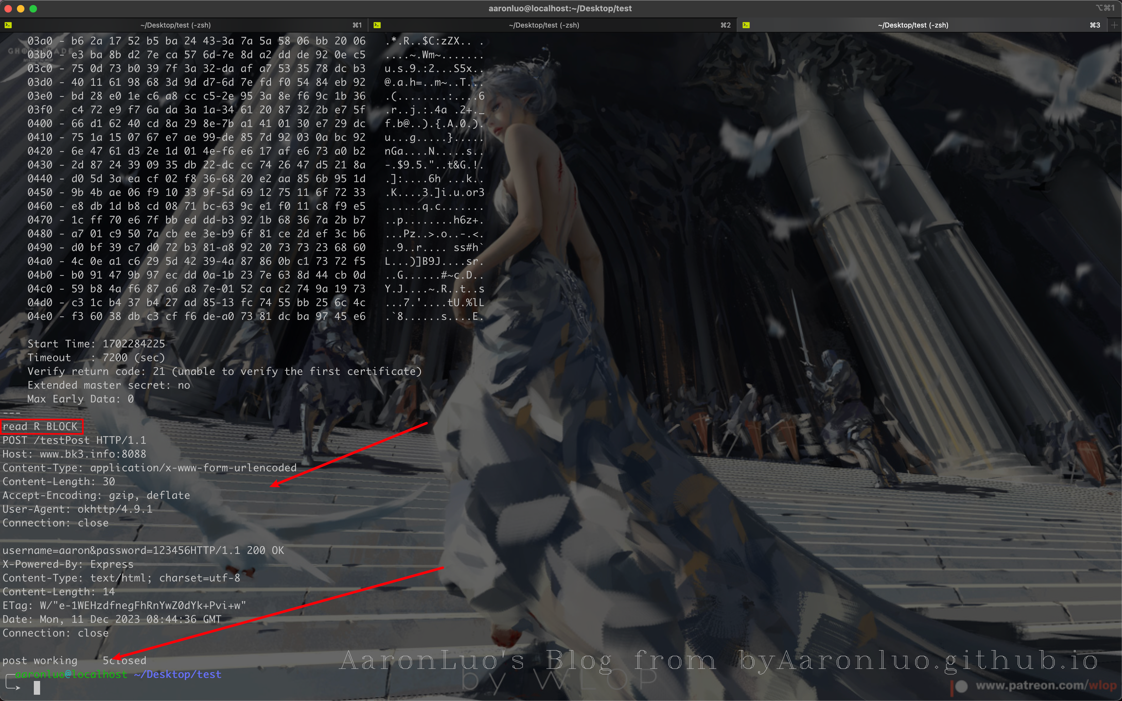 image-20231211164553178