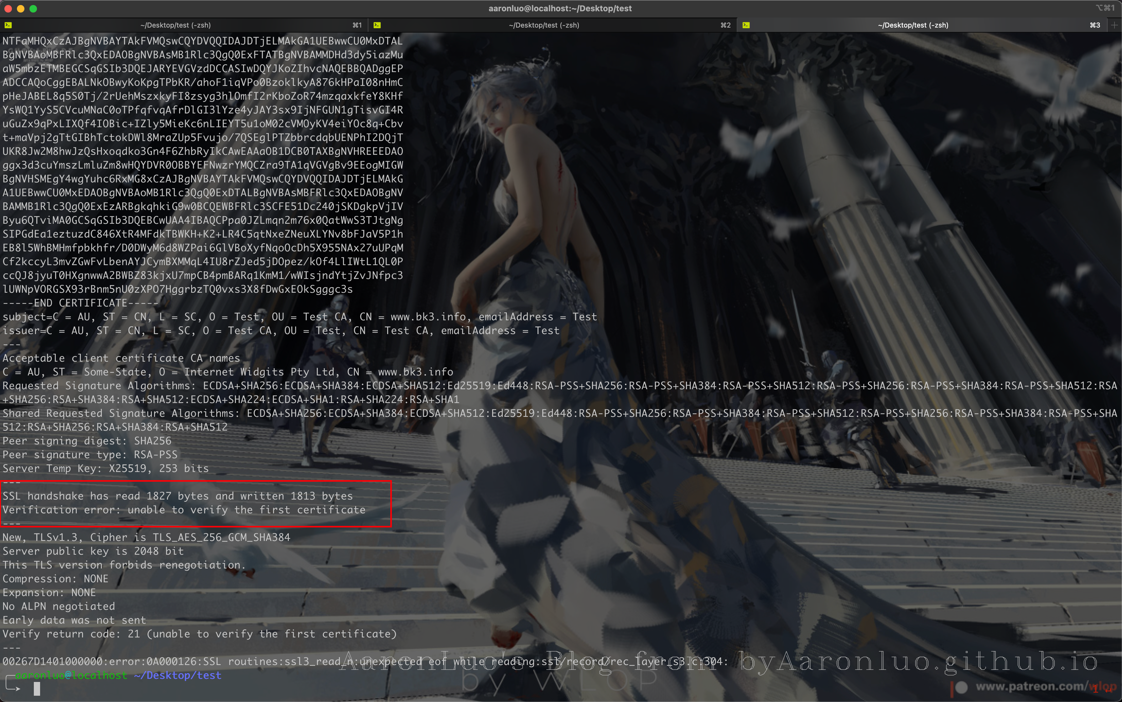 image-20231211164744418