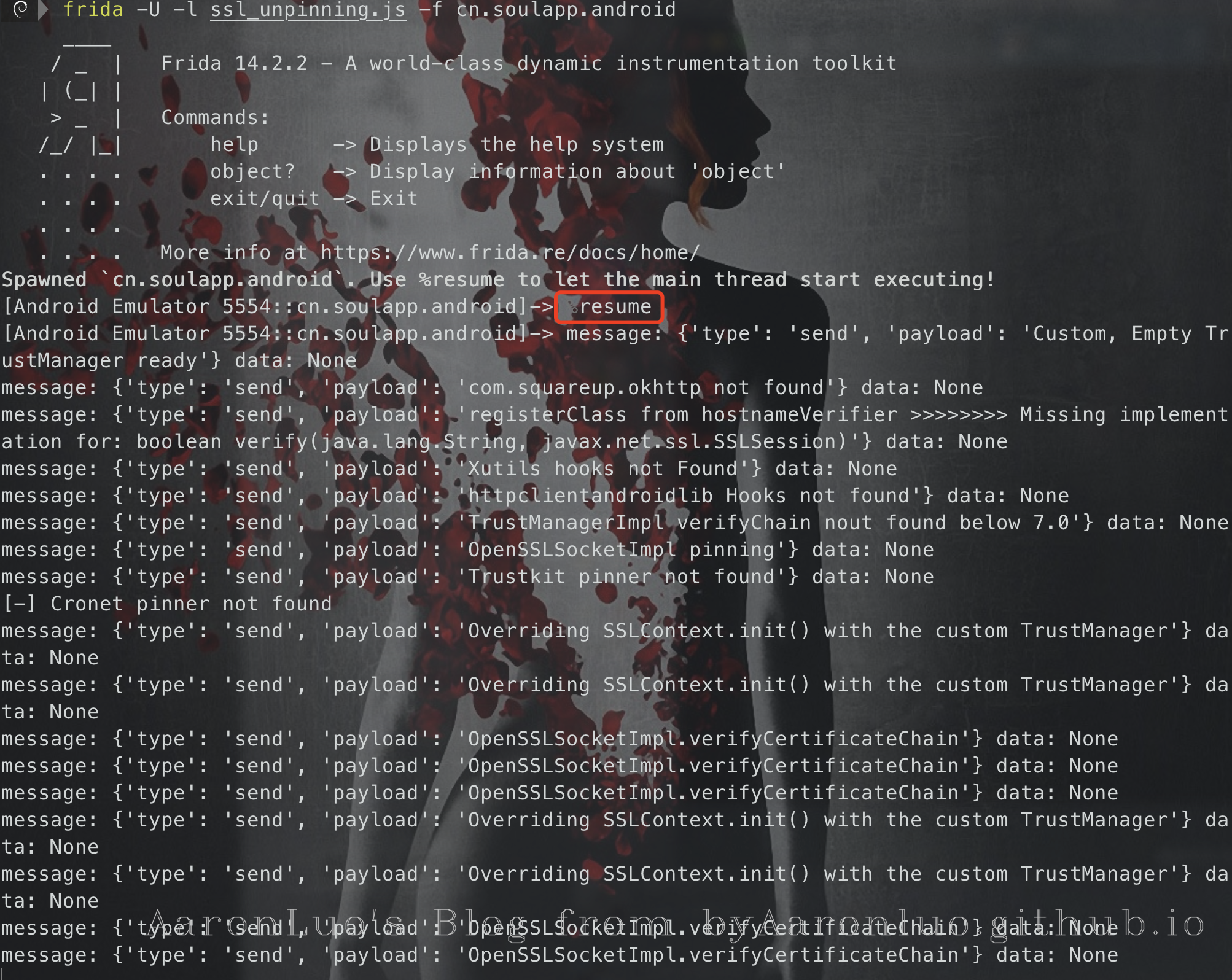 image-20201225155705540