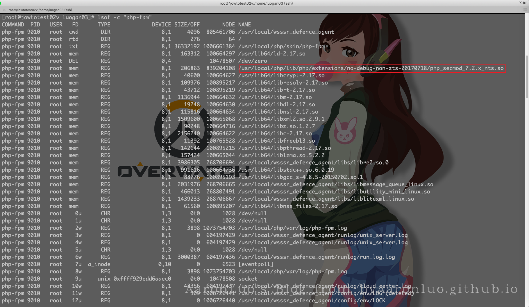 share_11.png