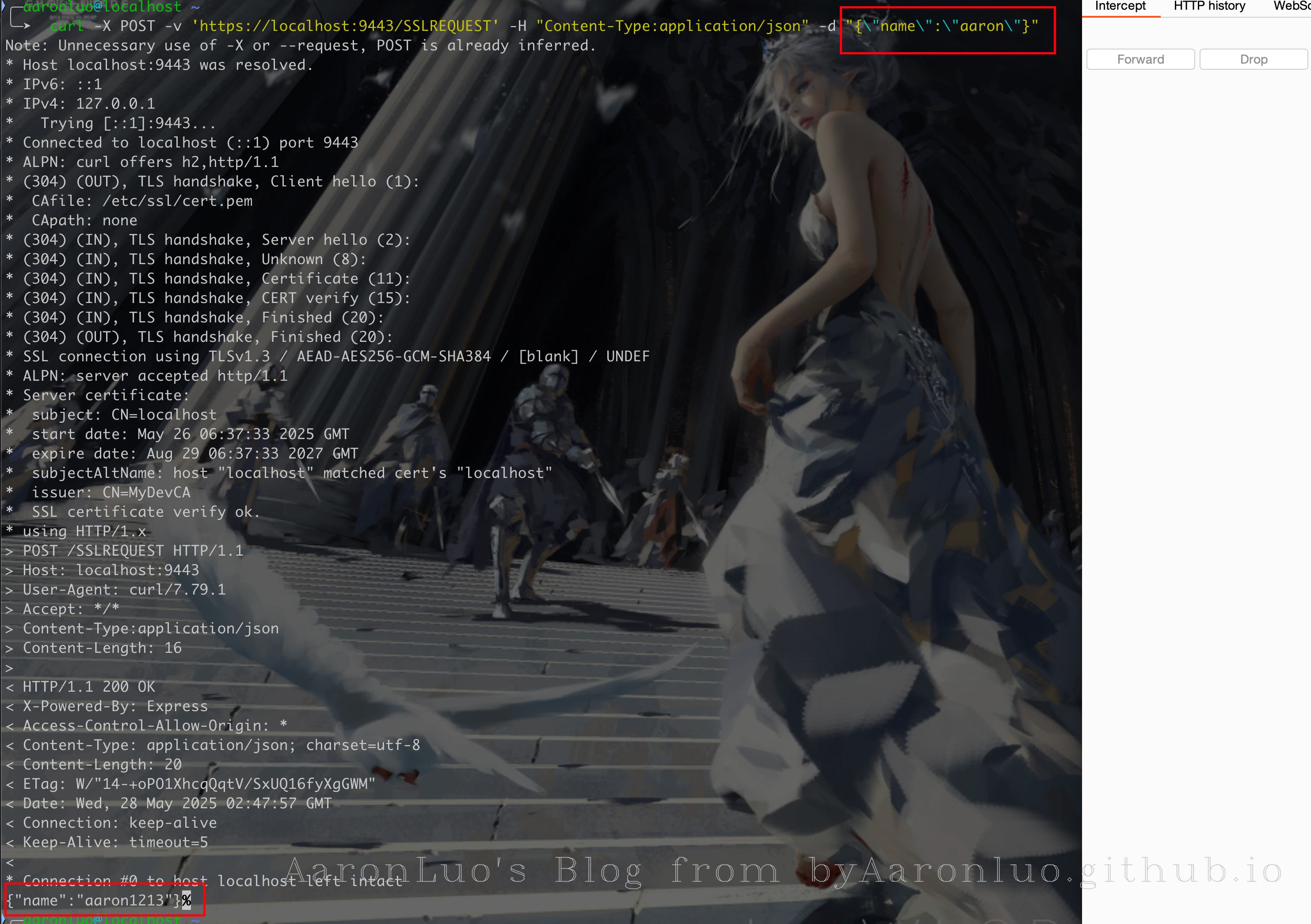 image-20250528104821171