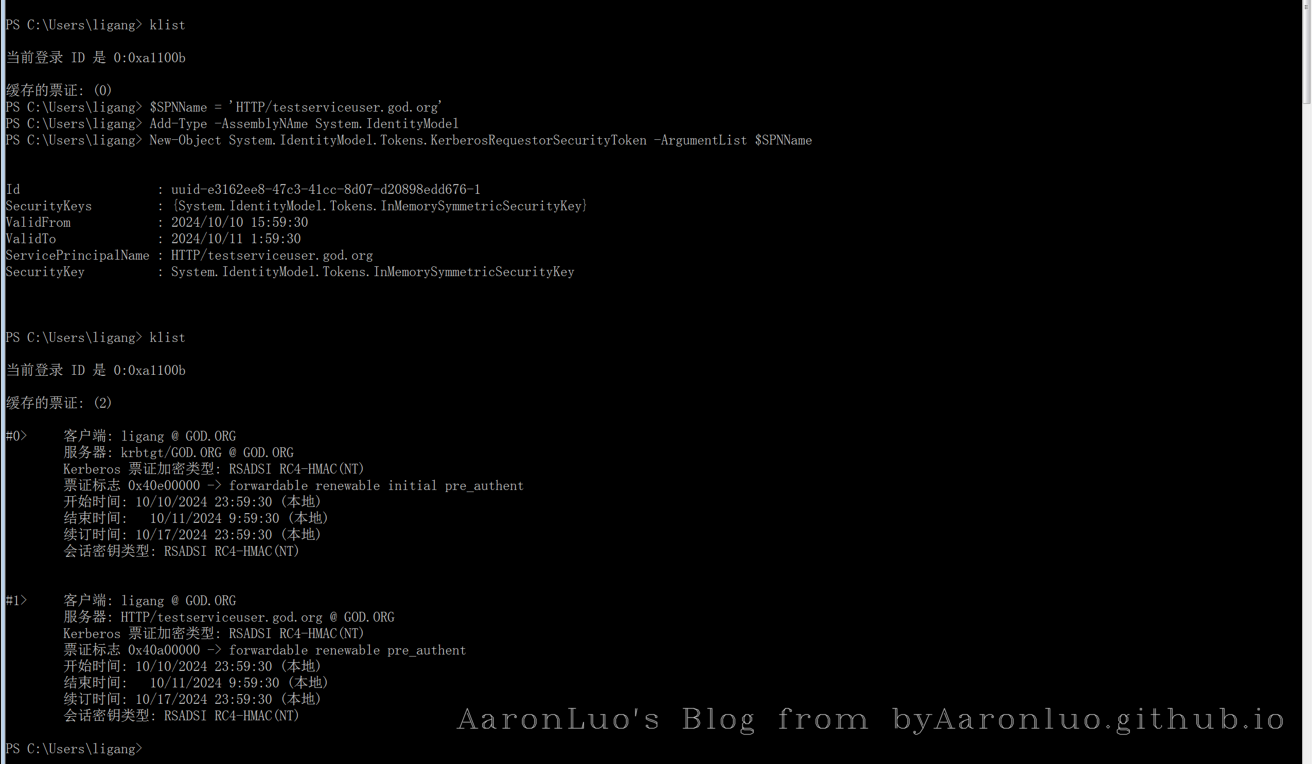 image-20241011000017469